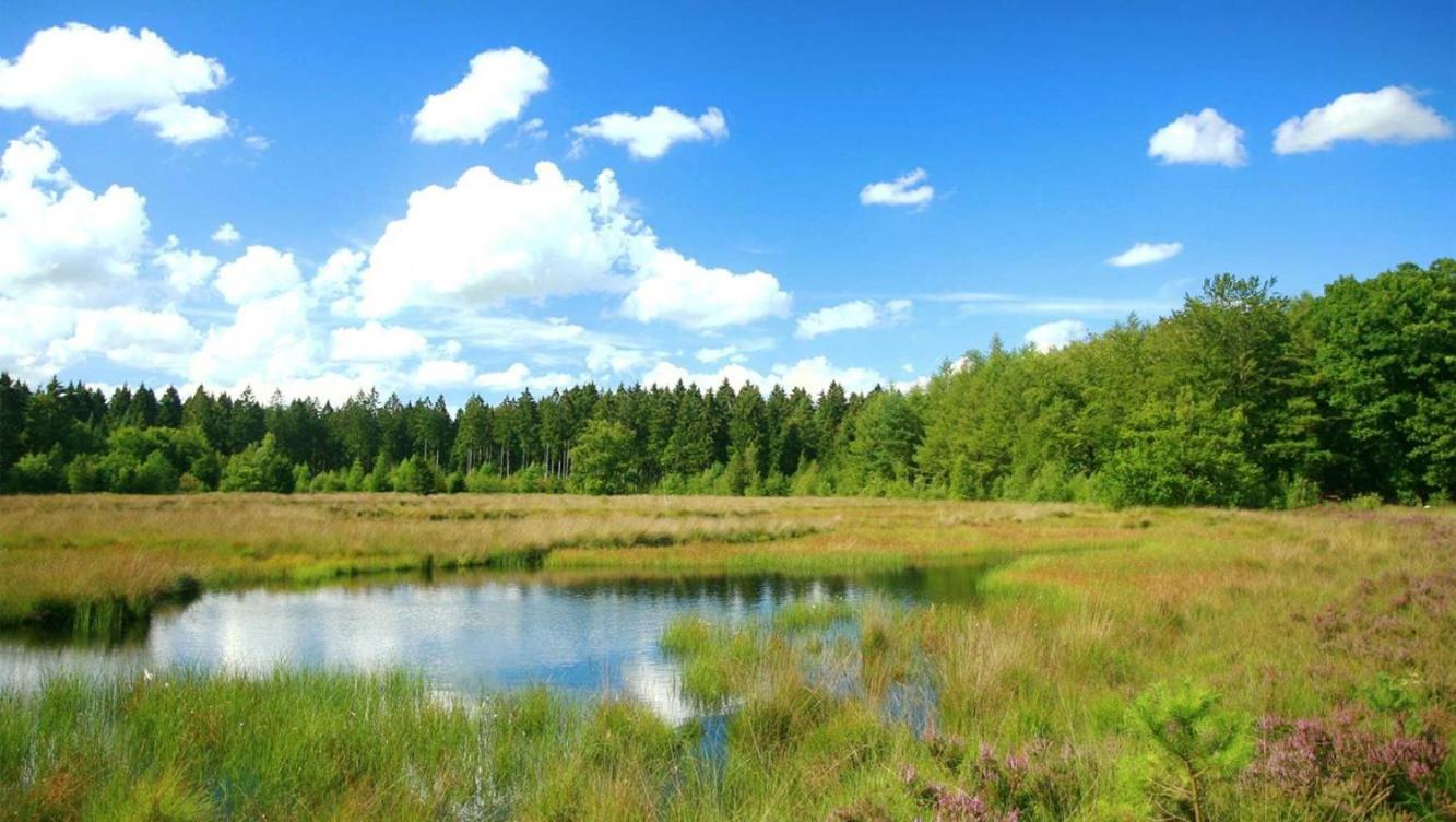 Comfortabel Chalet In Nationaal Park Wateren Екстериор снимка