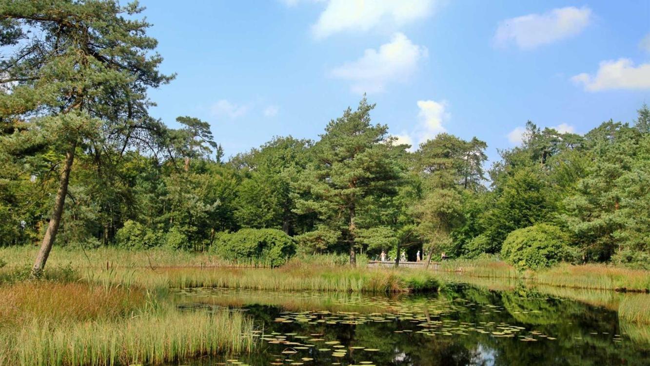 Comfortabel Chalet In Nationaal Park Wateren Екстериор снимка