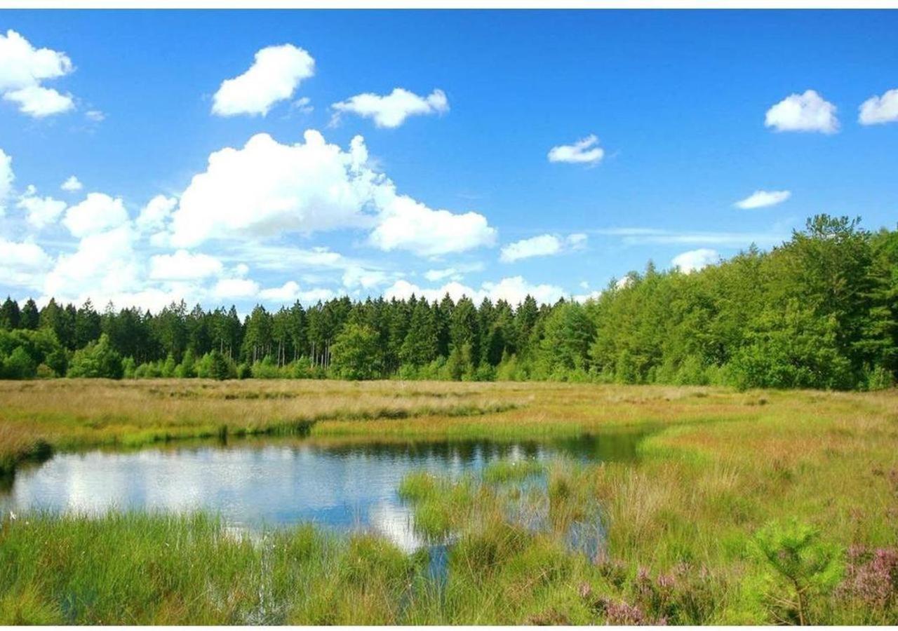 Comfortabel Chalet In Nationaal Park Wateren Екстериор снимка